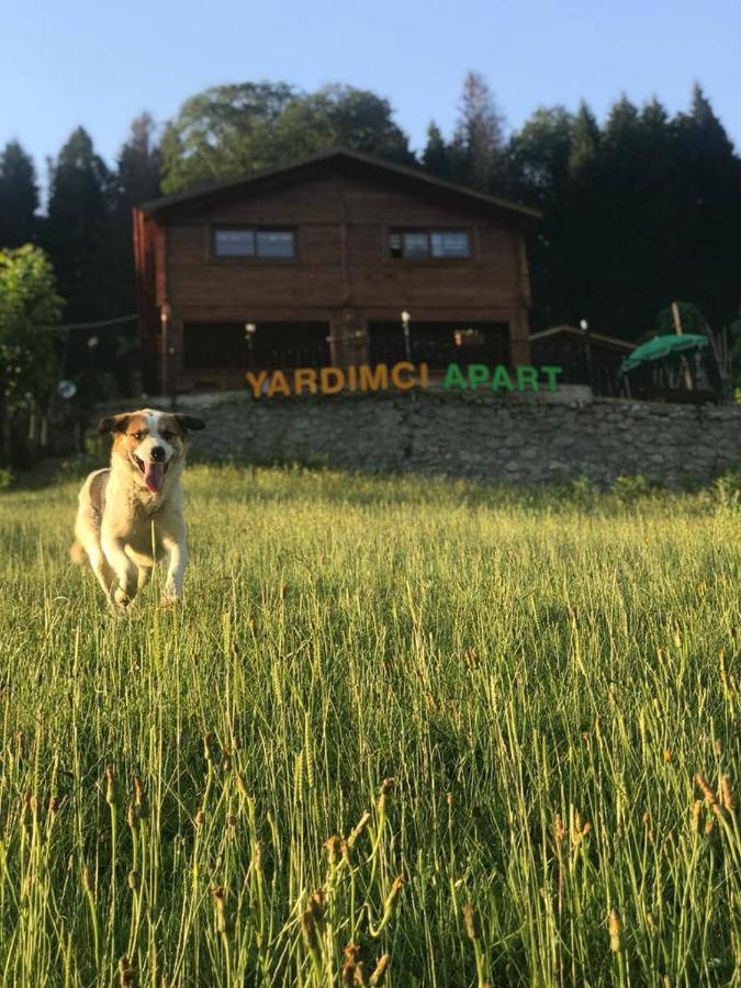 Ayder Yardimci Apart Eksteriør billede